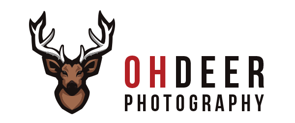 Oh Deer Photography